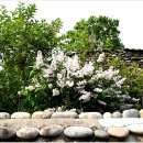 초원의집 이미지