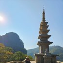 청량산에서 이미지