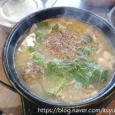 솔순대