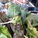 서귀포흑돈 이미지