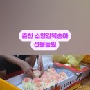 선웅농원 네이버블로그