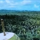 대머리민박 이미지