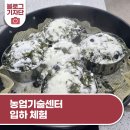 농업기술센터 (1층) | 인천광역시농업기술센터 2025년 여름절기「입하」체험