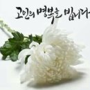 최화숙