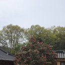 4.21(화)서산목장 둘레길,유기방 가옥:농협 산들 탐방부 이미지