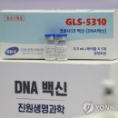 진원 이미지