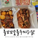 진주 금산 최고 치킨 맛집 불꼬꼬숯불두마리닭 내돈내산 후기