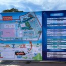 보령머드36 | 보령머드축제 2025 후기, 머드체험 워터파크 공연까지 한방에 즐기는 여름 대축제!