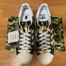 슈퍼스타 이미지