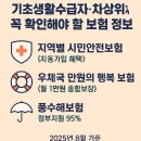 태풍액션스쿨 | 2025년 저소득층이 꼭 알아야 할 필수 보험 3가지 완벽 가이드 💡