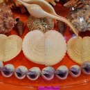 조개사랑 이미지