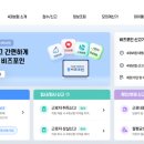 포인사이트 이미지