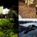 만선자원 이미지