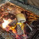 캠핑더하기 | [충남/태안] 감성 캠핑의 모든 곳 안면도 펜션 &#34;캠핑더하기&#34; 후기