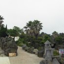 석림원 Daum카페