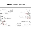 다온동물병원 이미지