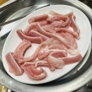 해양곰장어 이미지