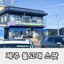 영락리 | 제주도 돌고래 스팟 영락리 해안도로 서귀포 명당 관람 꿀팁