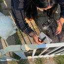 멈무아지트 이미지