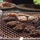 광양사슴농장 이미지