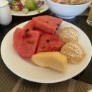 도야카 | 나트랑 가족여행 3박 5일 #4일차 :: 판랑 사막투어, 포롱자라이사원, 도야짬뽕, 온시스파