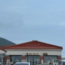 제주청년회 | 제주 구좌 횟집 | 제주청년회 방문 후기
