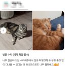 이랑이네