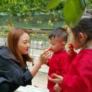 찬이농장 이미지