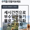 도전 유튜브 크리에이터 | 세시간전 크리에이터 부수입만들기 도전 후기 추천인코드 GQ8AWM