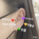 악세슬이 이미지