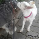 코코세탁소 이미지