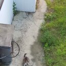 에버힐하우스펜션 이미지