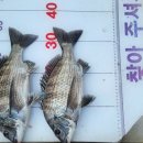 현대낚시레져