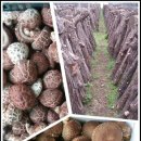 백곡농장 이미지