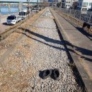 서울특별시 미디어재단 티비에스(TBS | 지압길 크록스, 국제구조위원회, 골목길, 식수대, 강의 얼음, 소나무에 참새 (1월 21일)