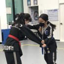 장지합기도 강류관 이미지