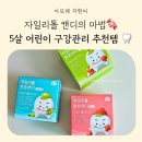 샤인덴탈 | 어린이 자일리톨 내 돈 내산 후기｜튼튼 캔디, 양치 후 먹여도 괜찮을까? 5살 구강 건강 육아템 리뷰