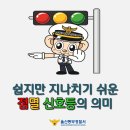 채홍일 카페-적색점멸등과 황색점멸등의 운행방법? 쉽지만, 햇갈리기 쉬운 점멸등의 의미와 운행방법? 황색 점멸신호와 적색 점멸신호의 올바른 운행방법은? 이미지