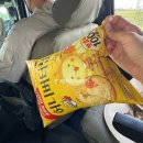 윤트럭서비스 | [2025 케냐 여행] 마사이 마라 가는 길/ 잠보 마라 사파리 롯지 (Jambo Mara Safari Lodge) 후기