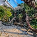 장수숯불닭갈비 이미지