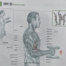 광교중량
