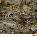 오늘나의정원 이미지