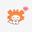 개성있냥 | (2024.8.16~8.31) 어디에 있을까