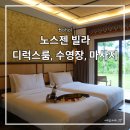 필리핀 보홀 숙소 노스젠 빌라 디럭스룸 수영장 마사지 예약 후기