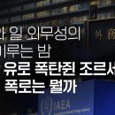 [취재 후] IAEA와 일 외무성의 잠 못 이루는 밤, 100만 유로 폭탄 쥔 조르세티 제3의 폭로는 뭘까? 이미지