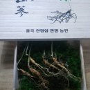 율곡관광농원 이미지
