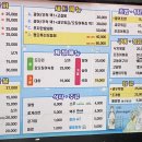 쩜오포차