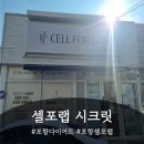 현랩 | [포항/양덕] 포항셀포랩 구)셀포랩 시크릿 현)이뮨팩토리 시크릿스테이션 후기