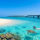 동양전문정비 | 🇯🇵 일본 미야코지마(Miyako Island): 직항으로 만나는 동양의 몰디브 🌊