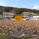 두번째 인연 이미지